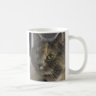 Taza del amor del gato