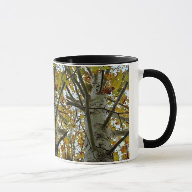 Taza del árbol del sicómoro (Derecha)