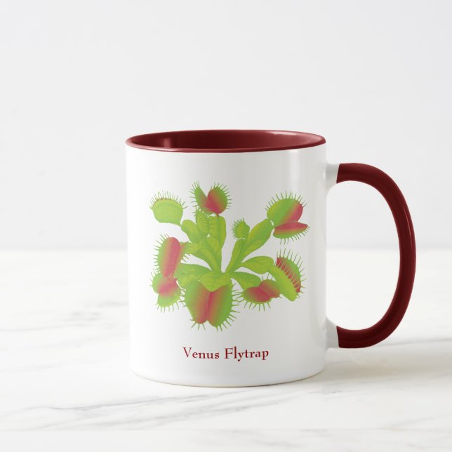Taza del atrapamoscas de Venus (Derecha)