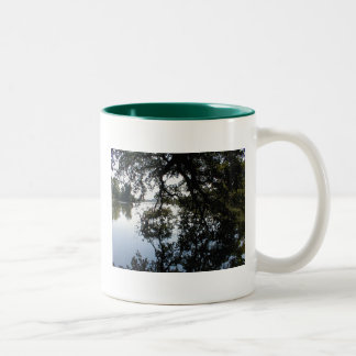 Taza del borde del lago
