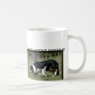 TAZA DEL BORDER COLLIE