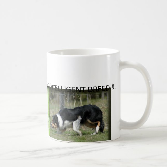 TAZA DEL BORDER COLLIE (Derecha)