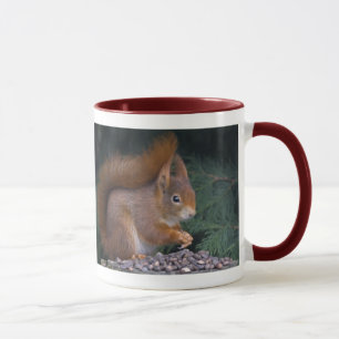 Taza del brunch de la nuez