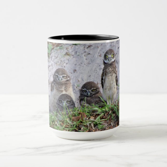 Taza del búho excavador bebé (Centro)