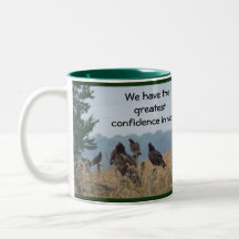 Taza del buitre de Turquía