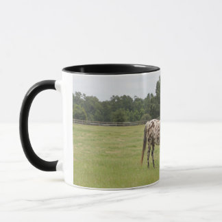 Taza del caballo