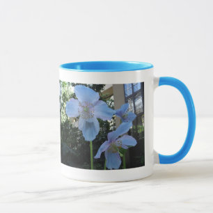 Taza del campanero de la amapola azul