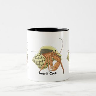 Taza del cangrejo de ermitaño
