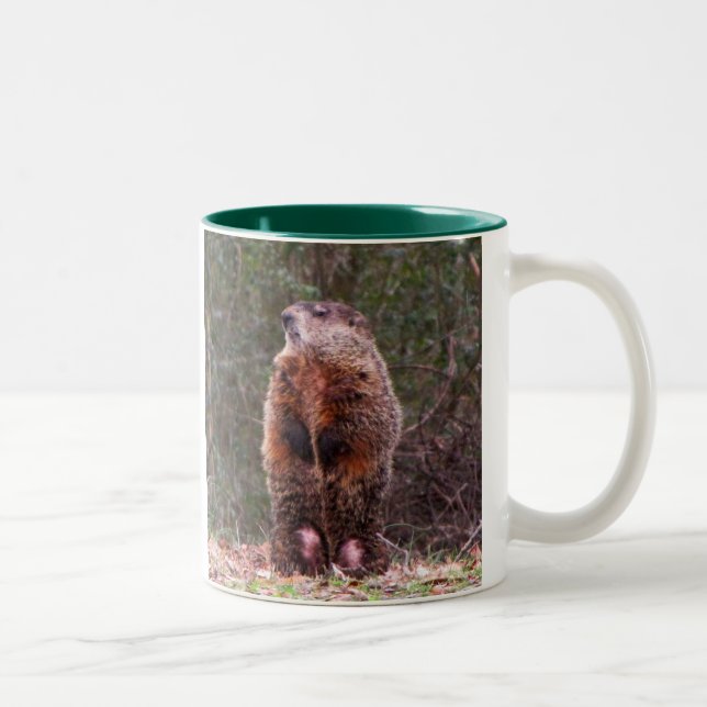 Taza del castor del patio trasero (Derecha)