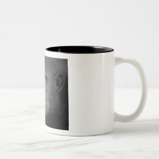 Taza del chimpancé