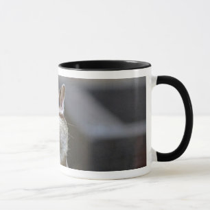 Taza del Chipmunk