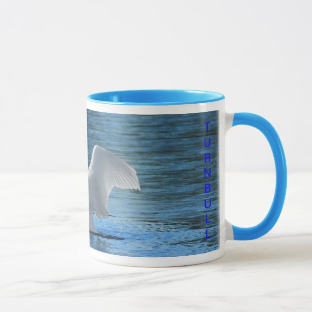 Taza del cisne de trompetista (Derecha)