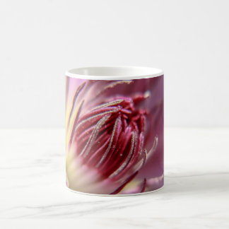 Taza del Clematis 11oz