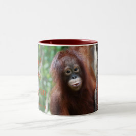 Taza del club de fans del orangután de Krista