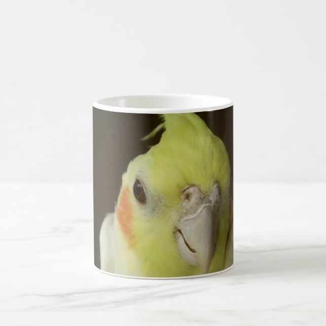 Taza del Cockatiel (Centro)
