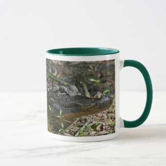 Taza del cocodrilo de la cala de Fisheating