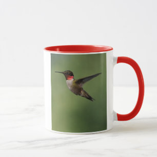 Taza del colibrí