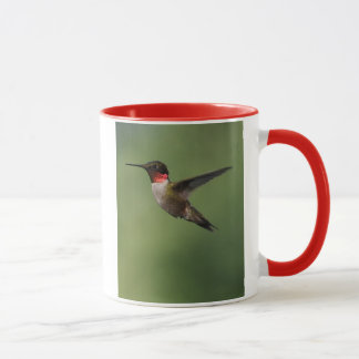 Taza del colibrí