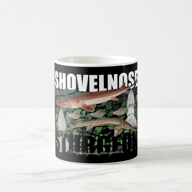 Taza del collage del esturión de Shovelnose (Centro)