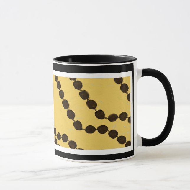 Taza del collar de la nuez de Kukui (Derecha)