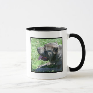 Taza del corso del bastón