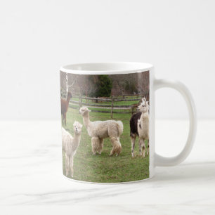 Taza del ~ de la mezcla de la alpaca