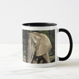 Taza del elefante