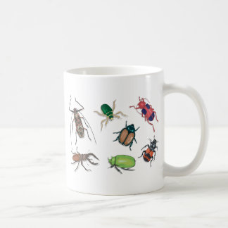 Taza del escarabajo