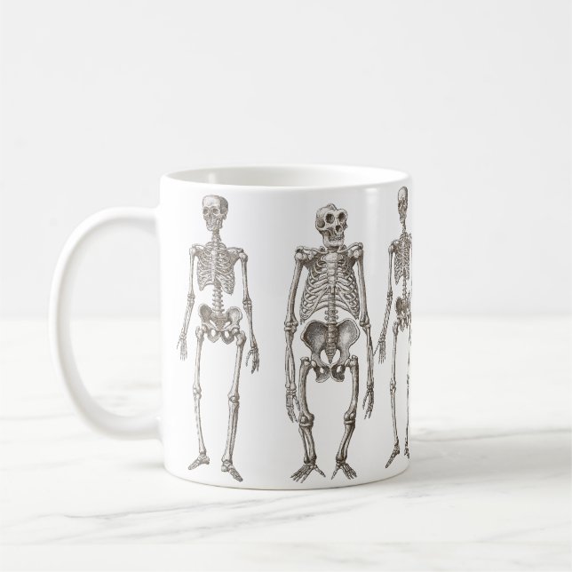 Taza del eslabón perdido del primate de los (Izquierda)