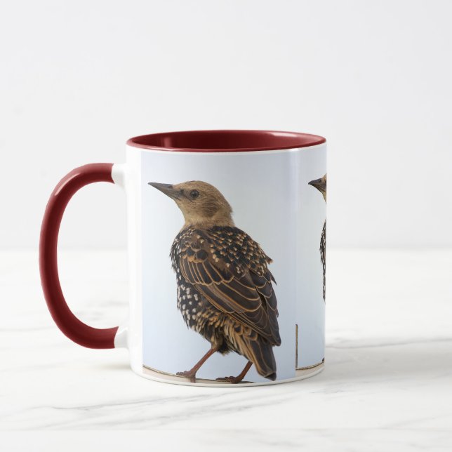 Taza del estornino europeo (Izquierda)