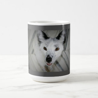 Taza del Fox - Boris