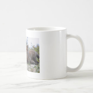 Taza del Fox del bebé