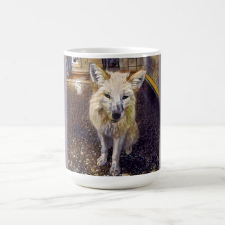 Taza del Fox - Maks