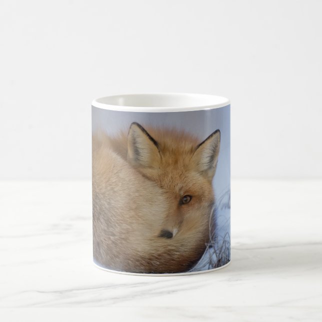 Taza del Fox, taza astuta, zorros, naturaleza, (Centro)