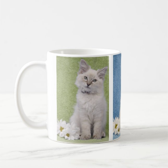 Taza del gatito de Ragdoll (Izquierda)