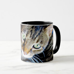 Taza del gato