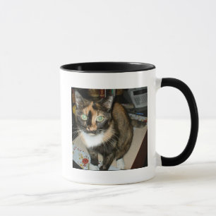 Taza del gato de calicó