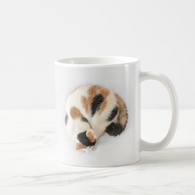 Taza del gato de calicó el dormir (Derecha)
