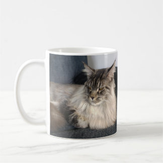 Taza del gato de Coon de Maine