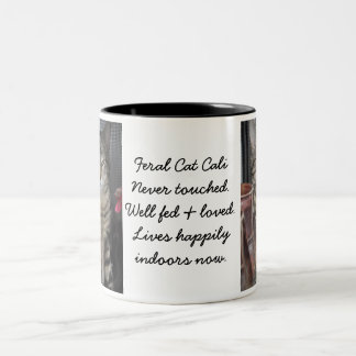 Taza del gato del jardín