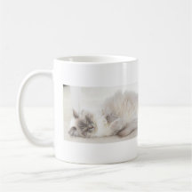 Taza del gato el dormir Ragdoll