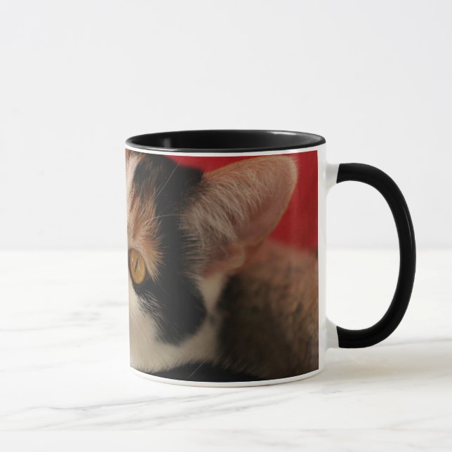 Taza del gato - la mejor mamá del gato del mundo (Derecha)