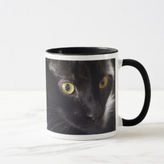 Taza del gato negro