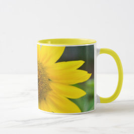 taza del girasol