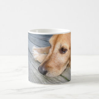 Taza del golden retriever