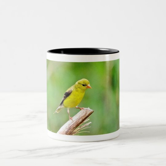 Taza del Goldfinch