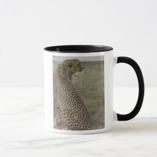 Taza del guepardo