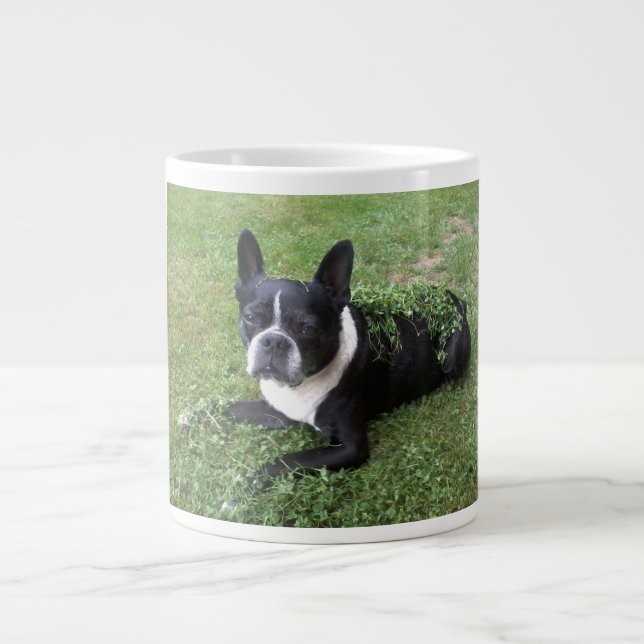 taza del gumbo del terrier de Boston (Frente)