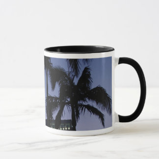 Taza del horizonte de Laguna