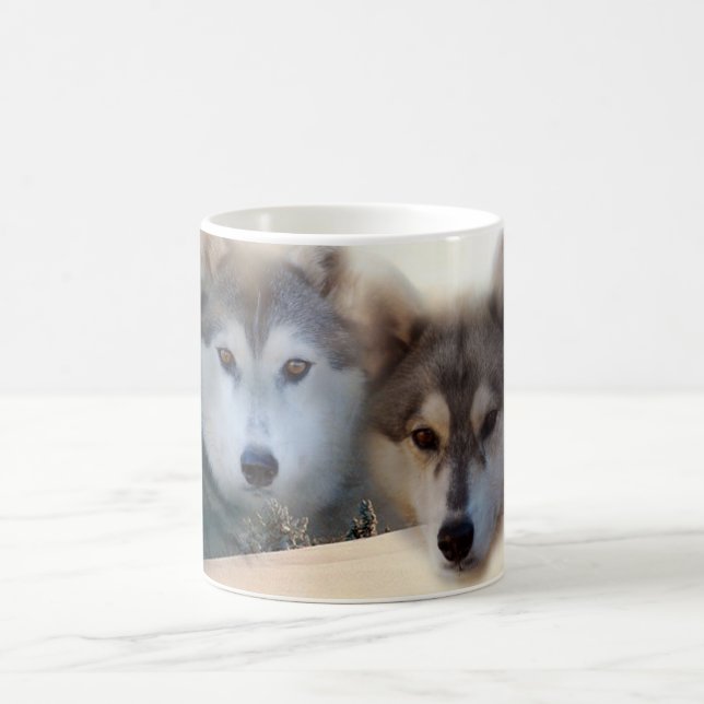 Taza del husky siberiano (Centro)